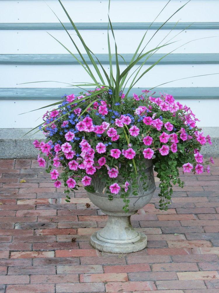 Silver Fountain Inn Dover Luaran gambar